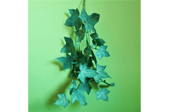 Ivy: 3D SVG Flowers for Editorial Design