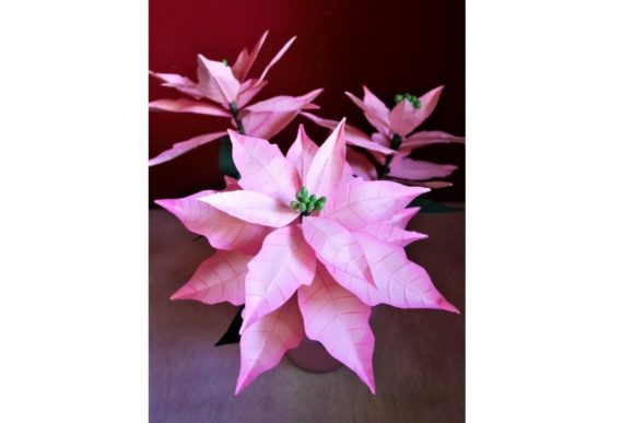 Poinsettia Paper Flower Templates: A 3D SVG Review for Brands